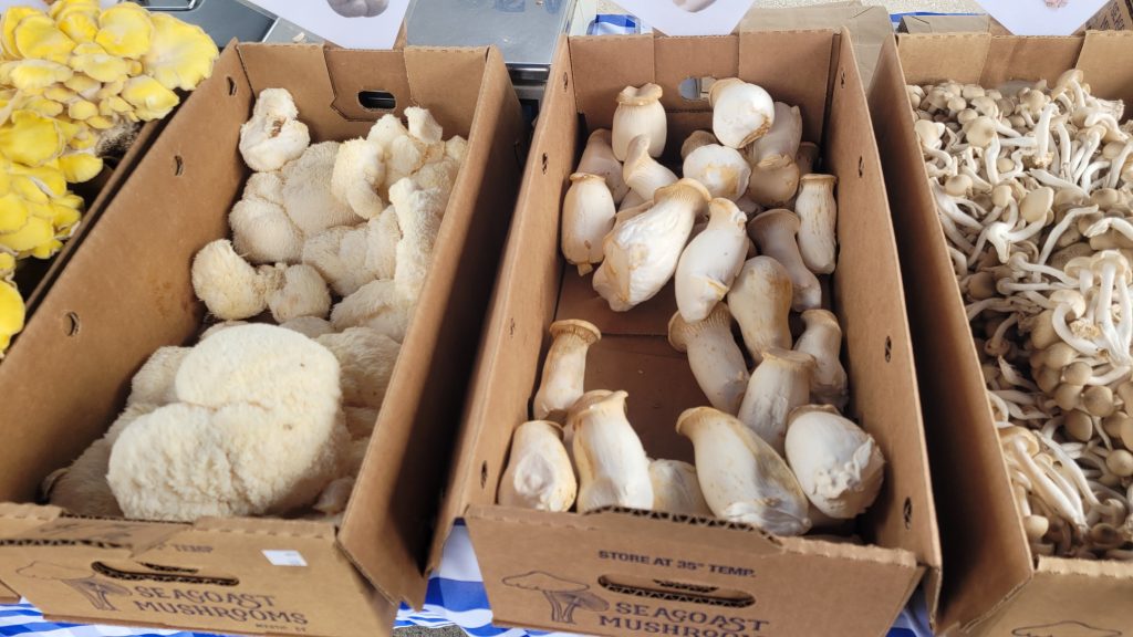 Assorted mushrooms in boxes at a farmer’s market representing raw lion’s mane mushroom sourcing