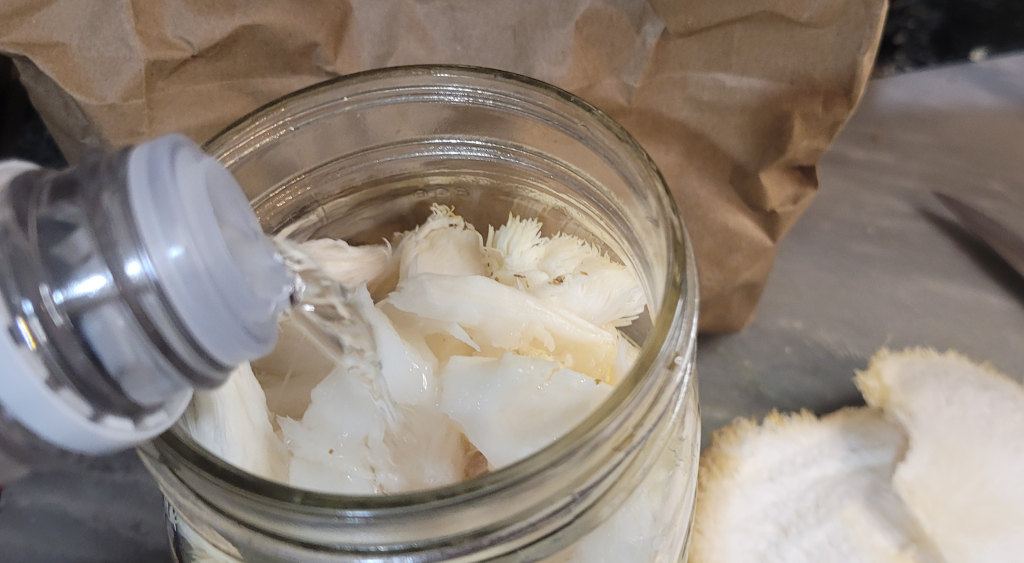 Alcohol poured into jar of lion’s mane mushrooms during tincture extraction process