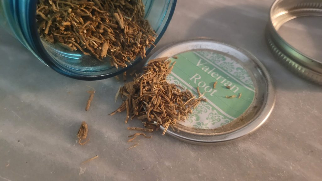 Dried valerian root showing texture and earthy appearance
